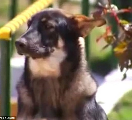 Capitan's story exemplifies the extraord...