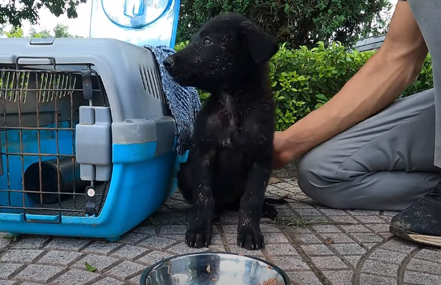 Extra image from article