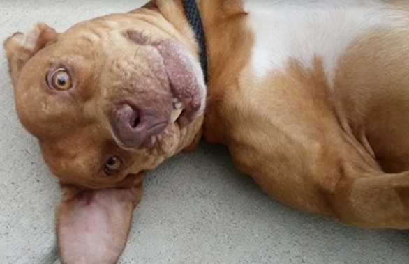 Graber was proactive in seeking the medi...