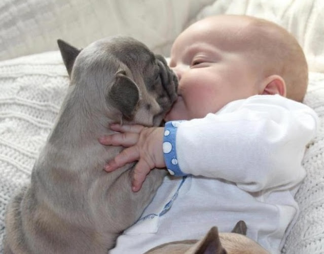 Extra image from article