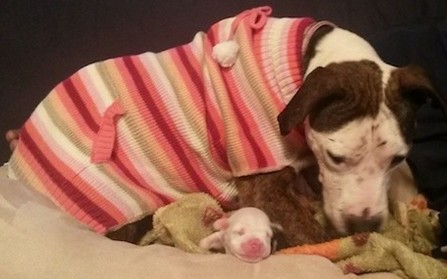 Today, Nickel continues to capture heart...