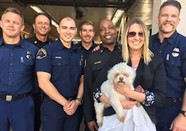 Heroic Firefighter Rescues Puppy with "Mouth-to-Snout" CPR in Santa Monica Blaze