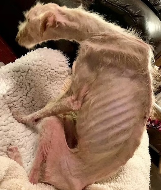 Philip Soderquest, a representative for ...