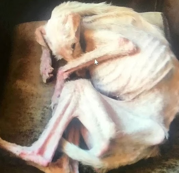 On March 3, the pair appeared at North T...