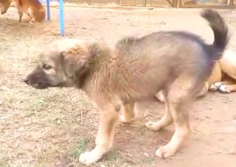 Extra image from article