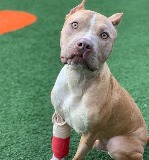 Extra image from article