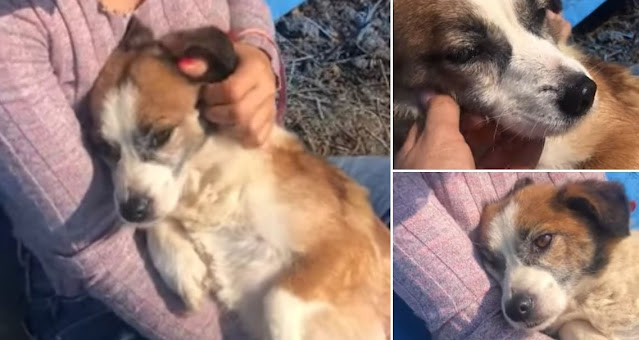 Extra image from article