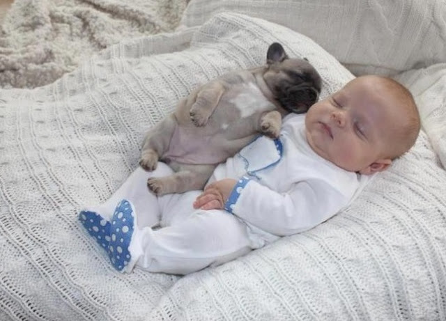 Extra image from article