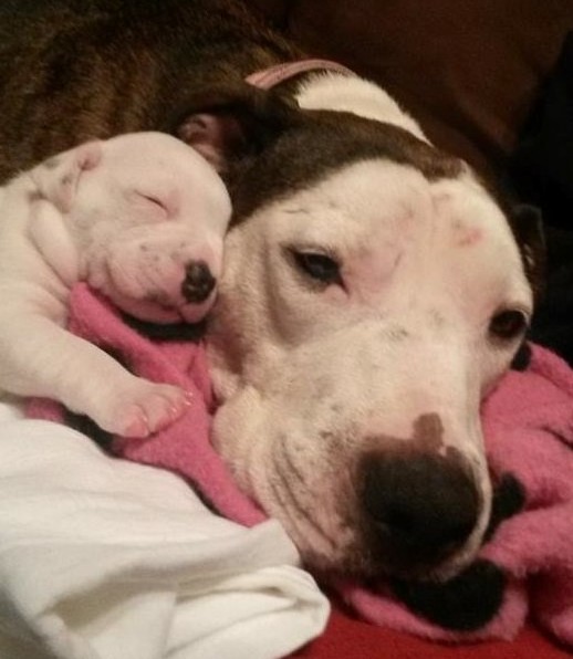 Extra image from article