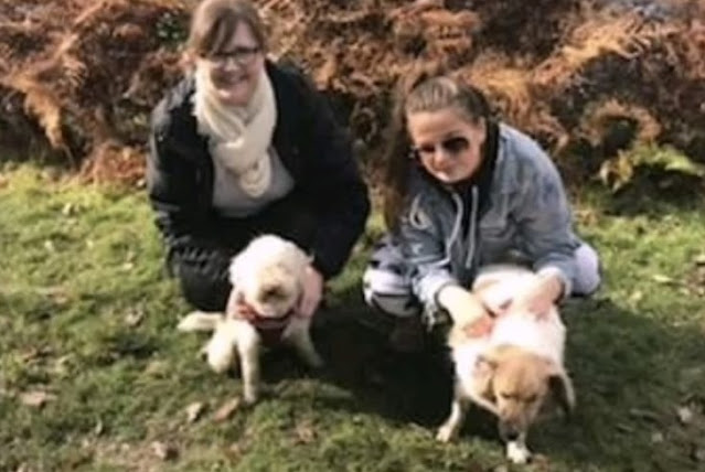 Extra image from article