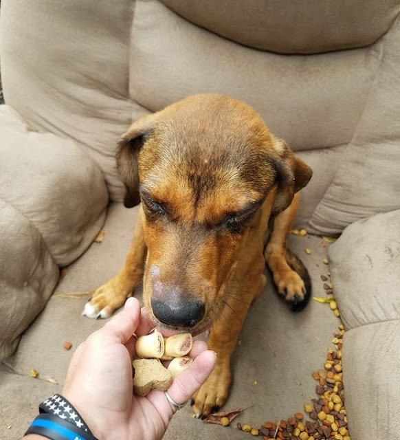 Despite the sorrowful start to his life,...