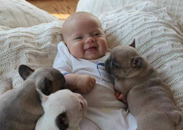 Extra image from article