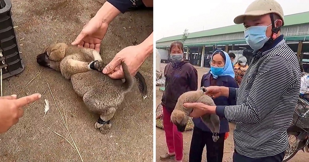 Fortunately, the man had brought along s...