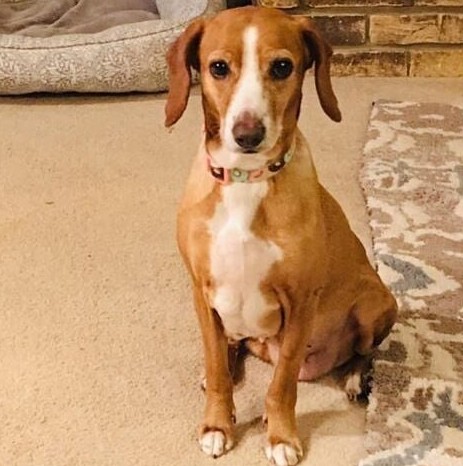 Extra image from article