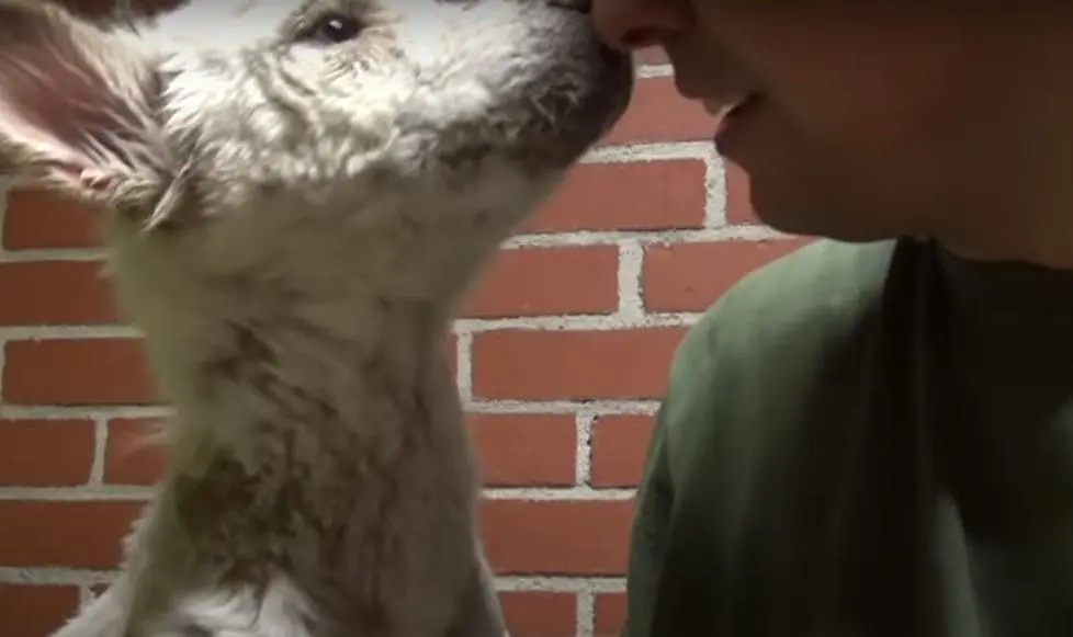 Extra image from article