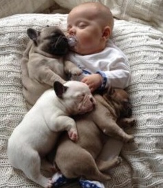 Extra image from article