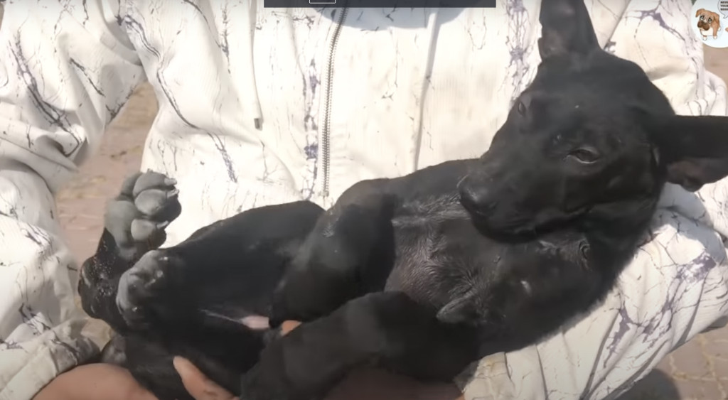 Extra image from article