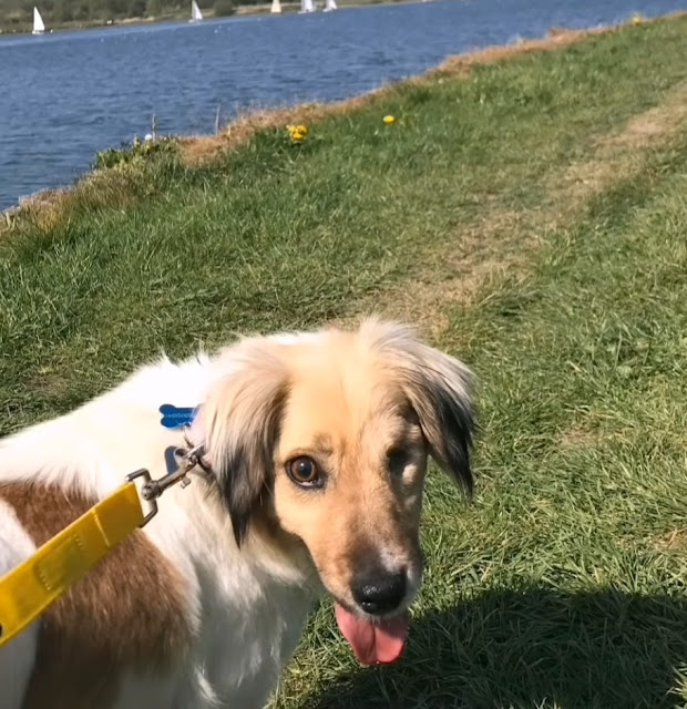 Extra image from article