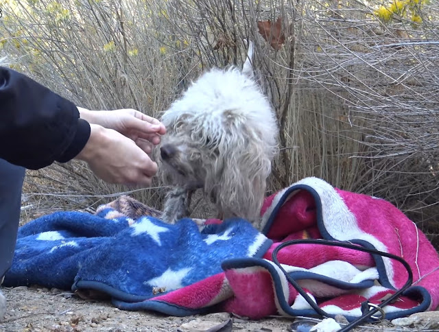 Understanding his fear, Loreta, a team m...