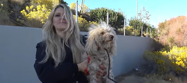 Despite being scared and having bitten h...