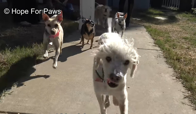 Extra image from article