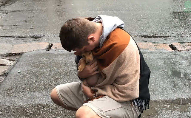 Feel free to watch this touching reunion...