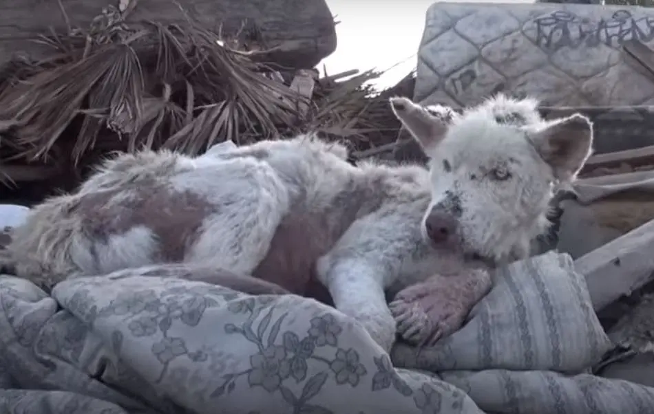 A few days into her recovery journey, Mi...