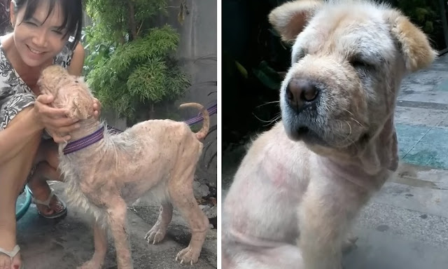 Extra image from article