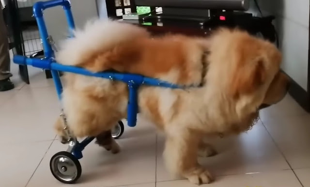 Extra image from article