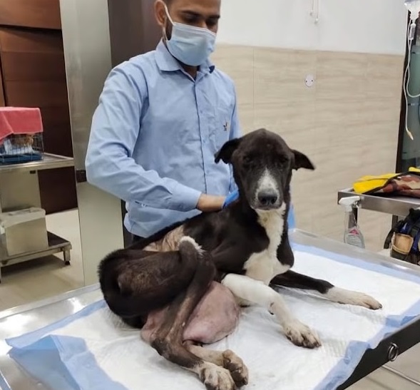 Extra image from article