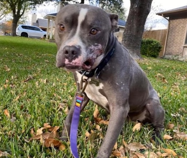 Extra image from article