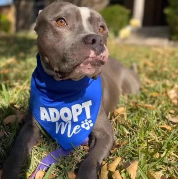 Extra image from article