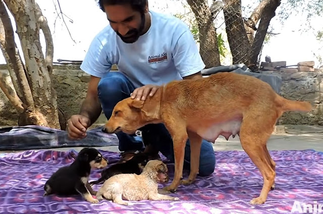 Extra image from article