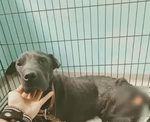 After a period of treatment, the gentle ...