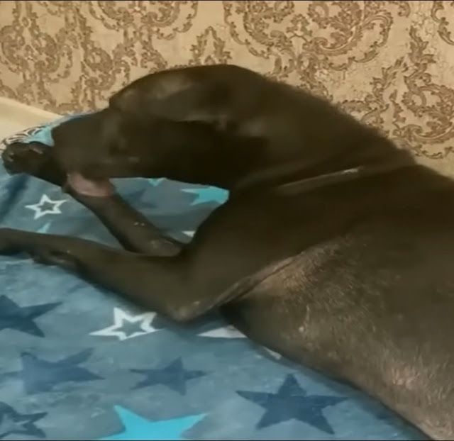 Extra image from article