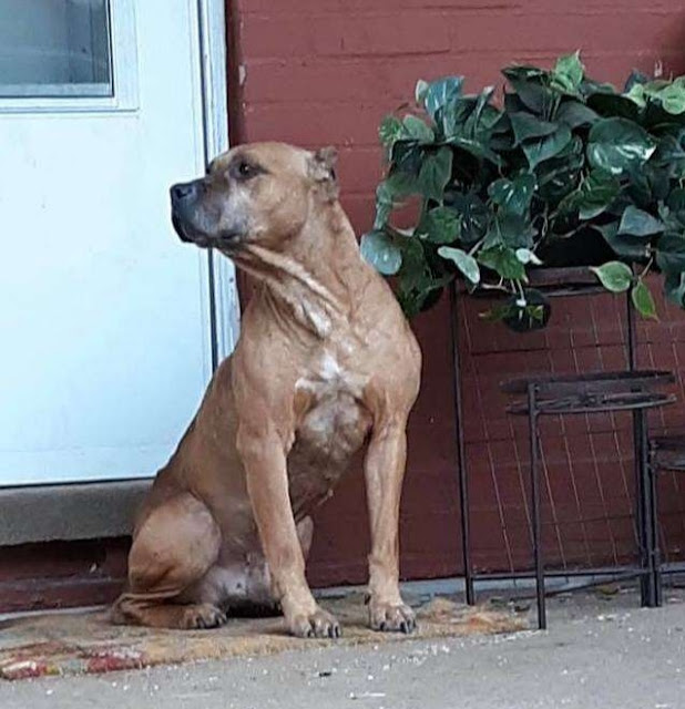 Despite her efforts, Cupid was initially...