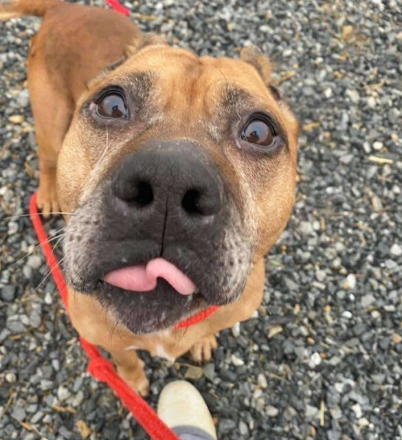 Extra image from article