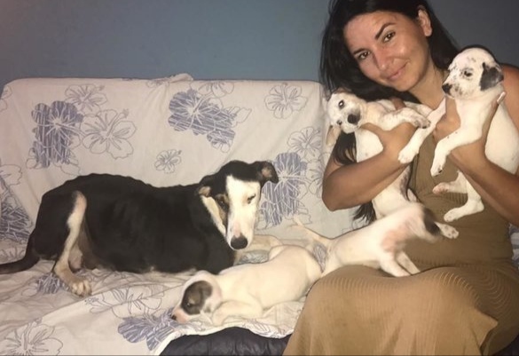 Extra image from article