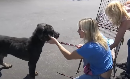 Extra image from article