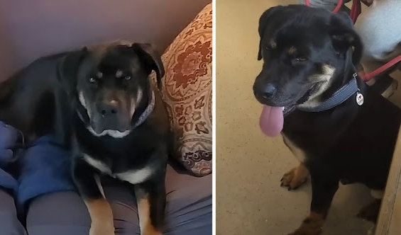 Extra image from article