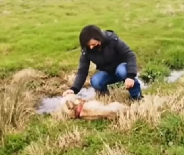 Now on the mend, Lydia is being prepared...