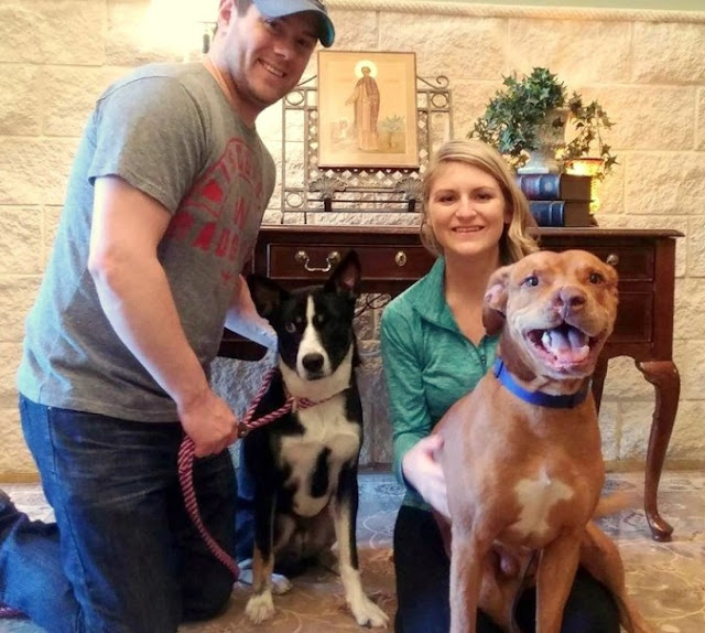 Extra image from article