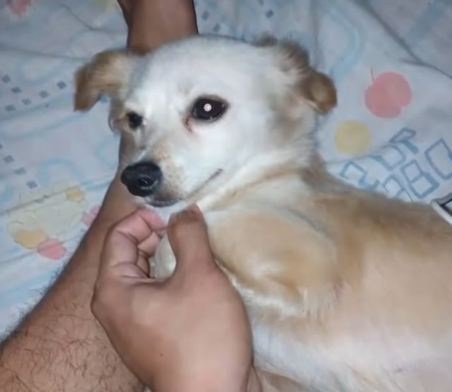 Extra image from article