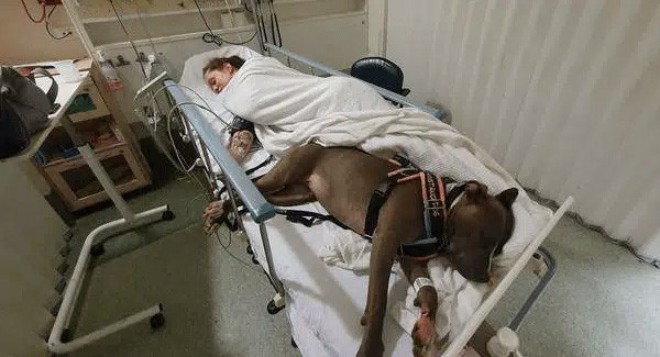 Initially, Ruby joined Shauna's life to ...