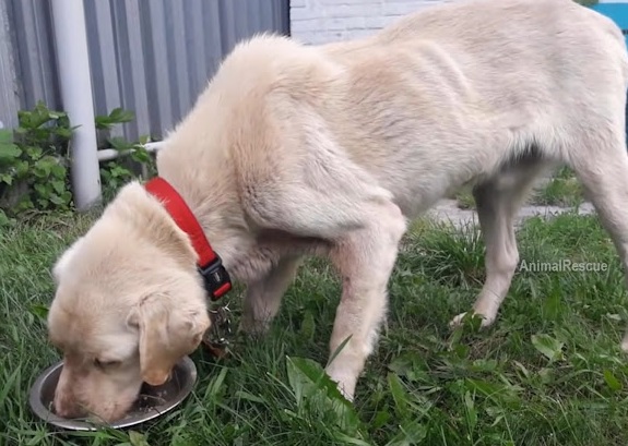 Extra image from article