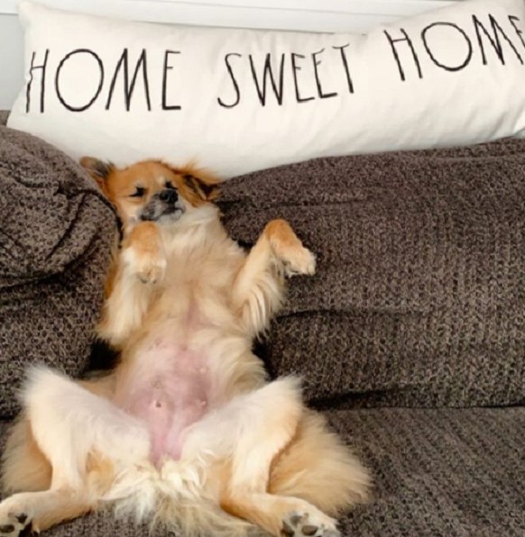 This story has a truly heartwarming endi...