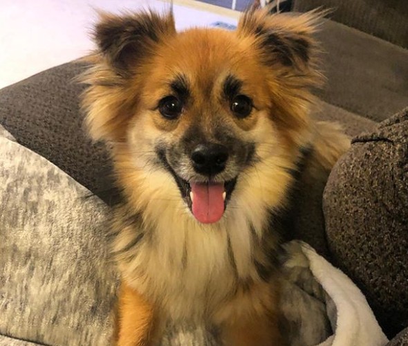 Extra image from article