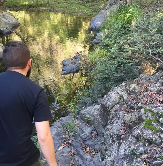 Considering they were over three miles a...