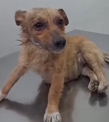 In a heartwarming turn of events, just t...