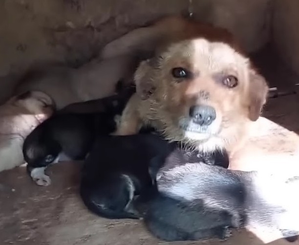 Extra image from article